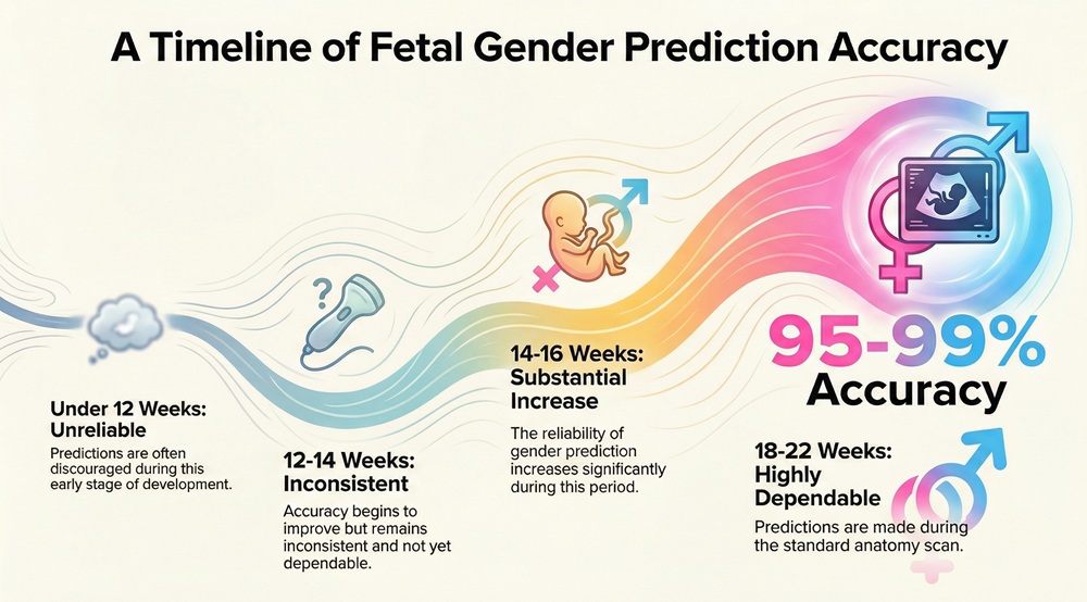 Accuracy by Gestational Age