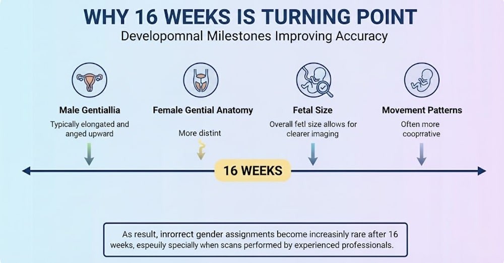 Why 16 Weeks Is a Turning Point