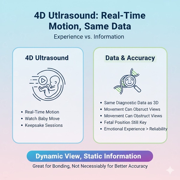 4D Ultrasound