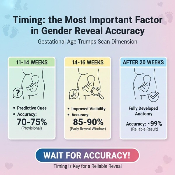 The Most Important Factor in Gender Reveal Accuracy
