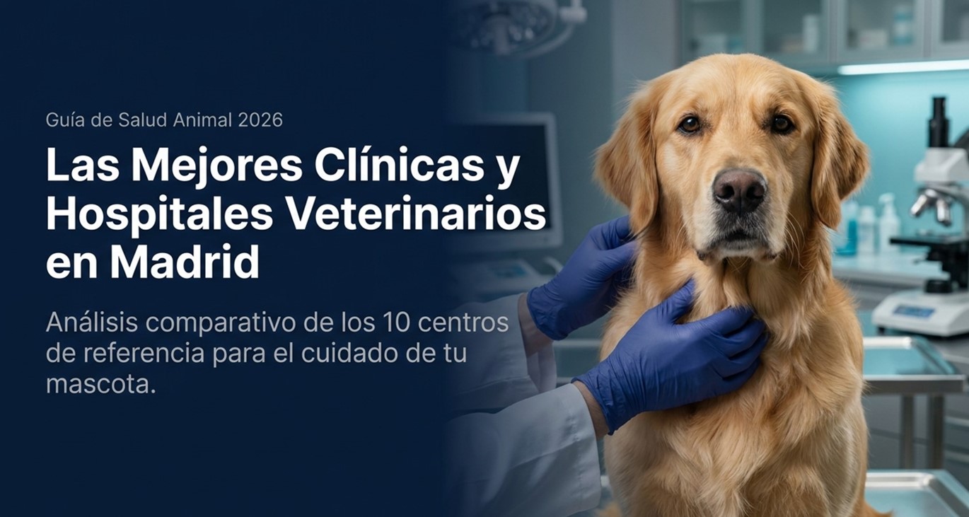 Las mejores clínicas veterinarias en Madrid Las mejores clínicas veterinarias en Madrid