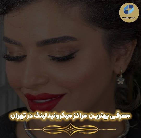 میکرونیدلینگ در تهران