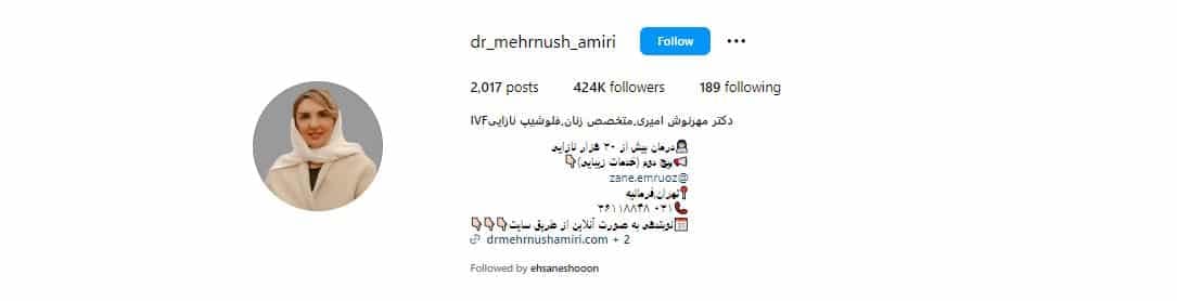 دکتر مهرنوش امیری