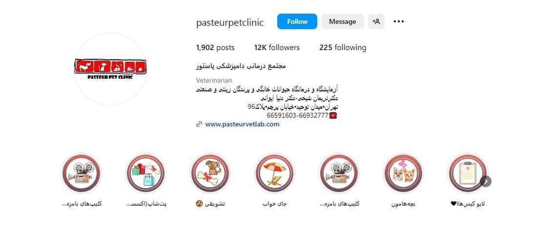 کلینیک دامپزشکی پاستور