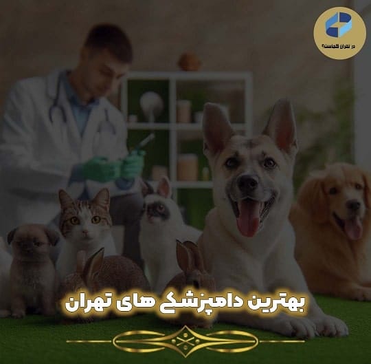 بهترین دامپزشکی در تهران