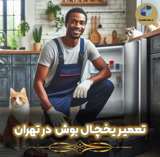 تعمیر یخچال بوش در تهران