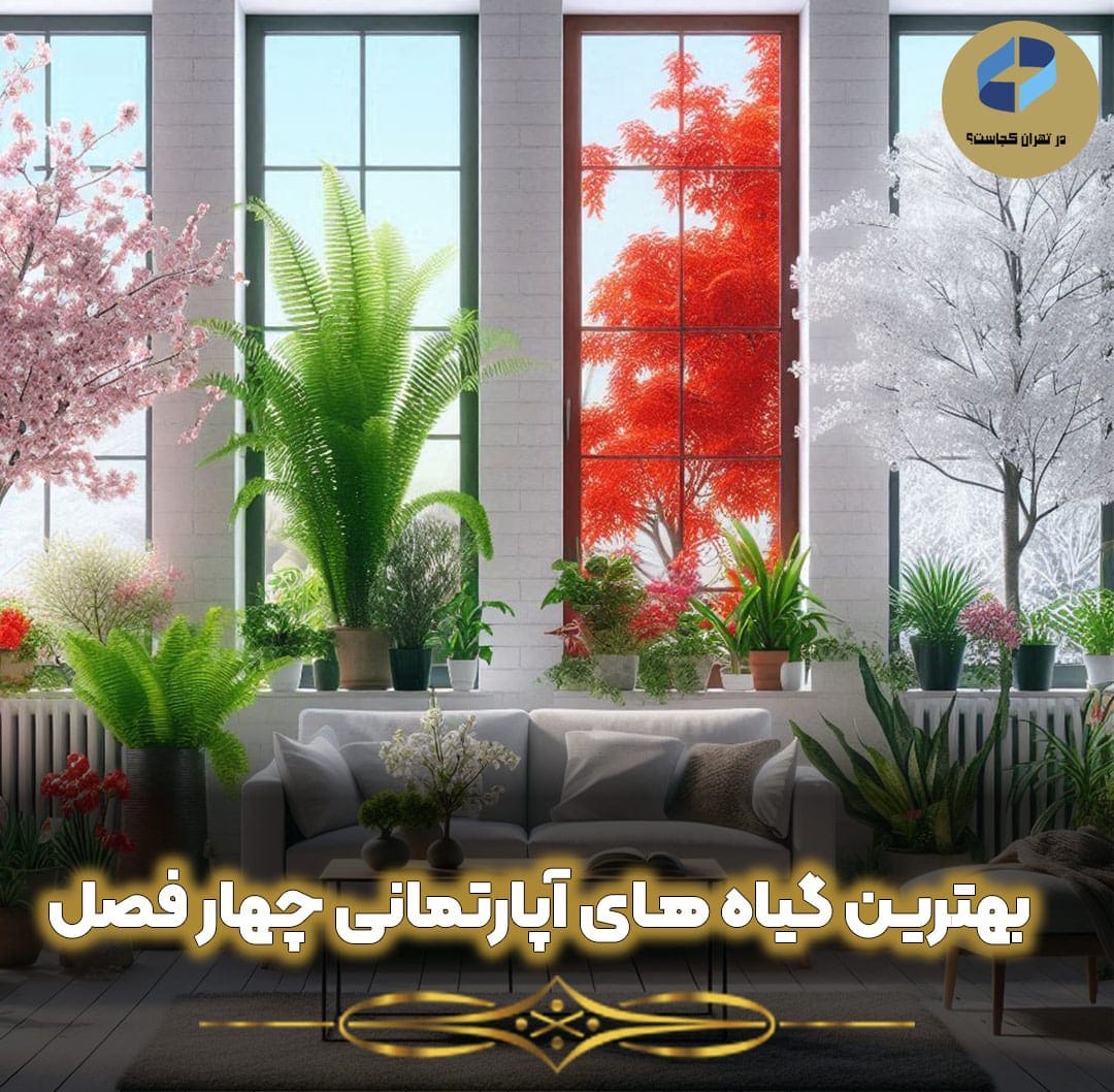 بهترین گیاه های آپارتمانی چهار فصل