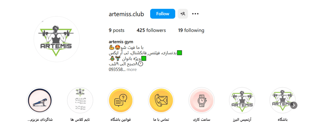 باشگاه آرتمیس